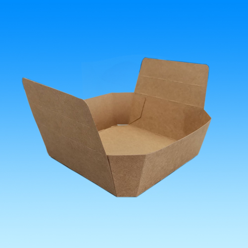 Paper tray