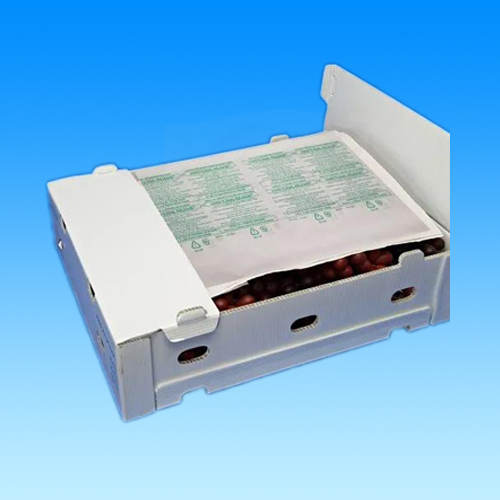 Plastic corrugated box